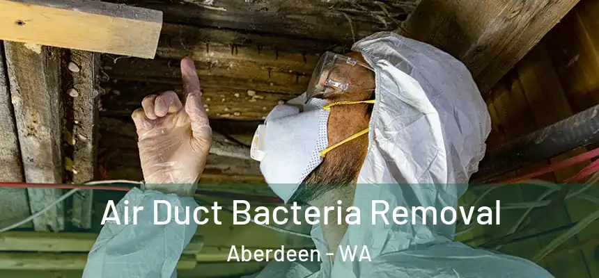 Air Duct Bacteria Removal Aberdeen - WA
