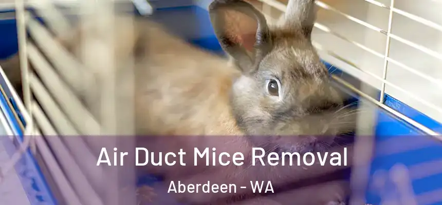  Air Duct Mice Removal Aberdeen - WA