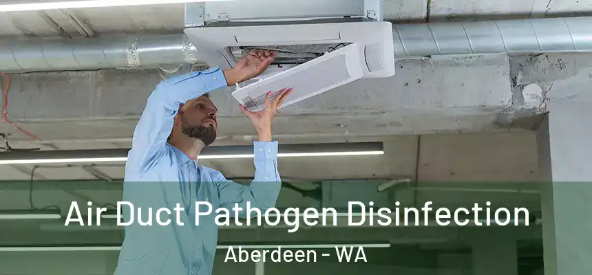  Air Duct Pathogen Disinfection Aberdeen - WA