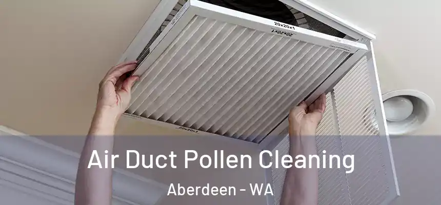 Air Duct Pollen Cleaning Aberdeen - WA