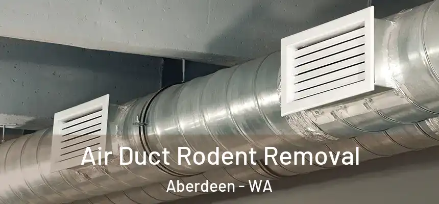 Air Duct Rodent Removal Aberdeen - WA
