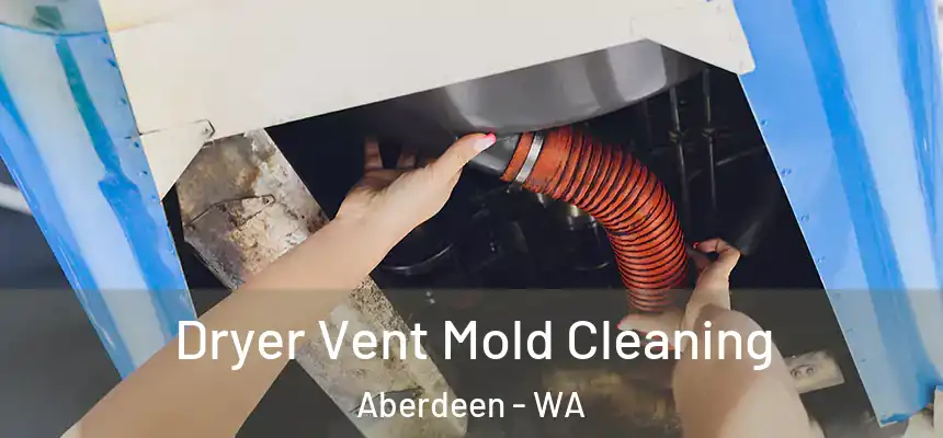 Dryer Vent Mold Cleaning Aberdeen - WA