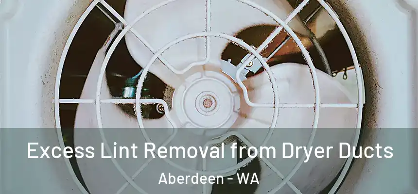 Excess Lint Removal from Dryer Ducts Aberdeen - WA