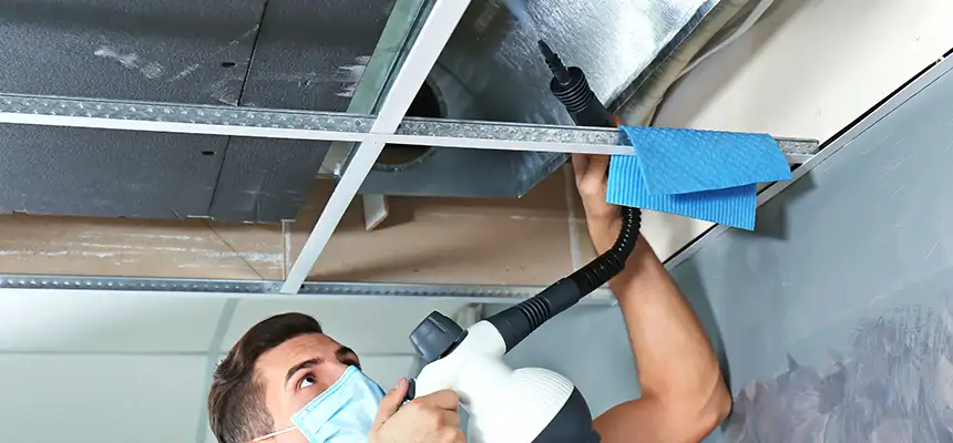 Our Air Duct Rodent Removal Services in Aberdeen, WA