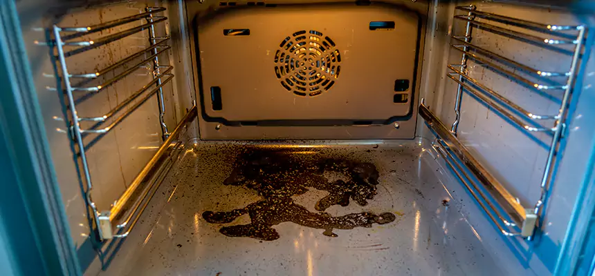 Our Dryer Vent Mold Cleaning Services in Aberdeen, WA