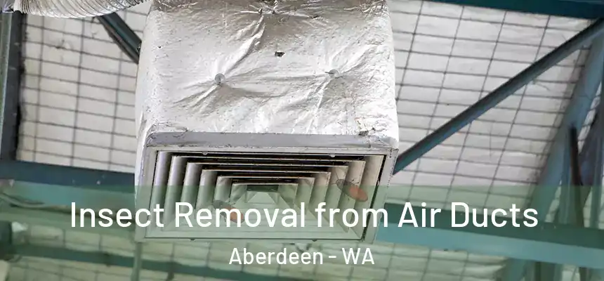 Insect Removal from Air Ducts Aberdeen - WA