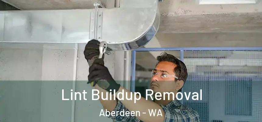 Lint Buildup Removal Aberdeen - WA