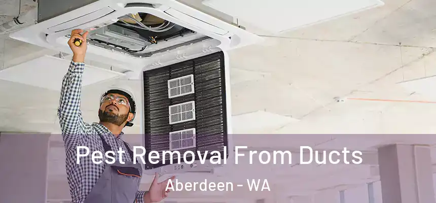 Pest Removal From Ducts Aberdeen - WA