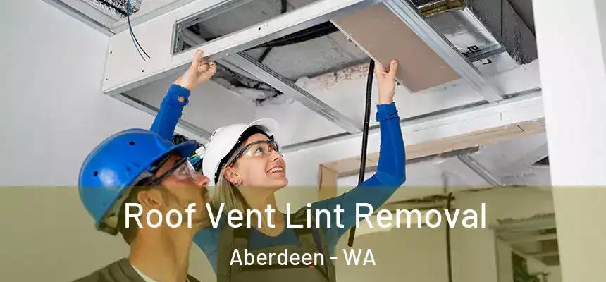 Roof Vent Lint Removal Aberdeen - WA