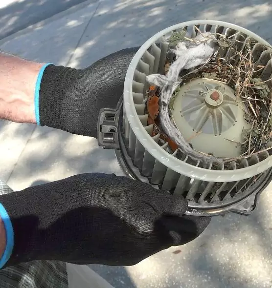 About Air Duct Mice Removal in Aberdeen, WA