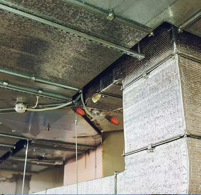 Why Homeowners & Businesses Trust Us in Aberdeen, WA?