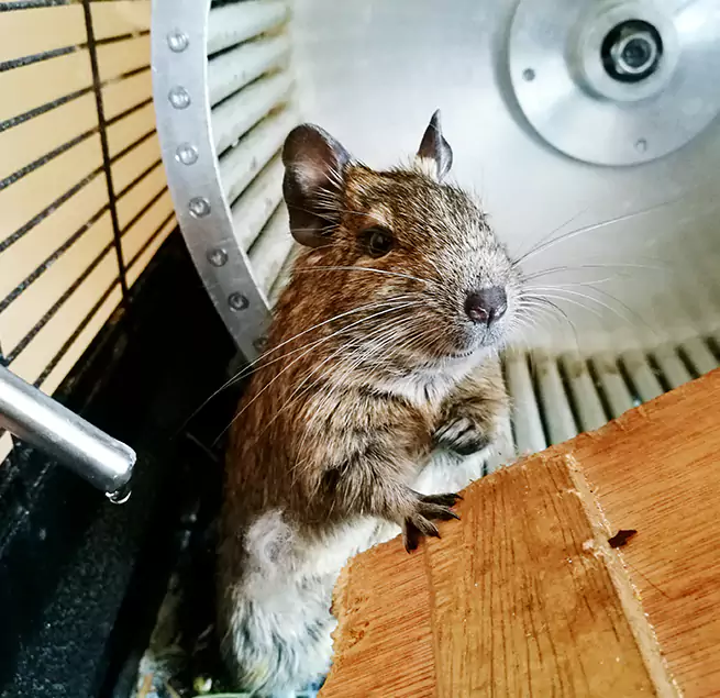 Why Homeowners & Businesses Trust Us Aberdeen, WA