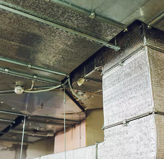 Why Homeowners & Businesses Trust Us in Aberdeen, WA?